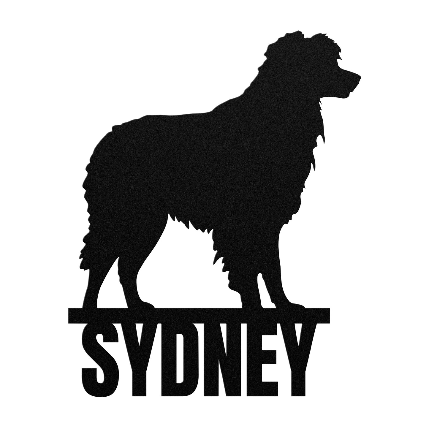 AUSTRALIAN SHEPHERD 2