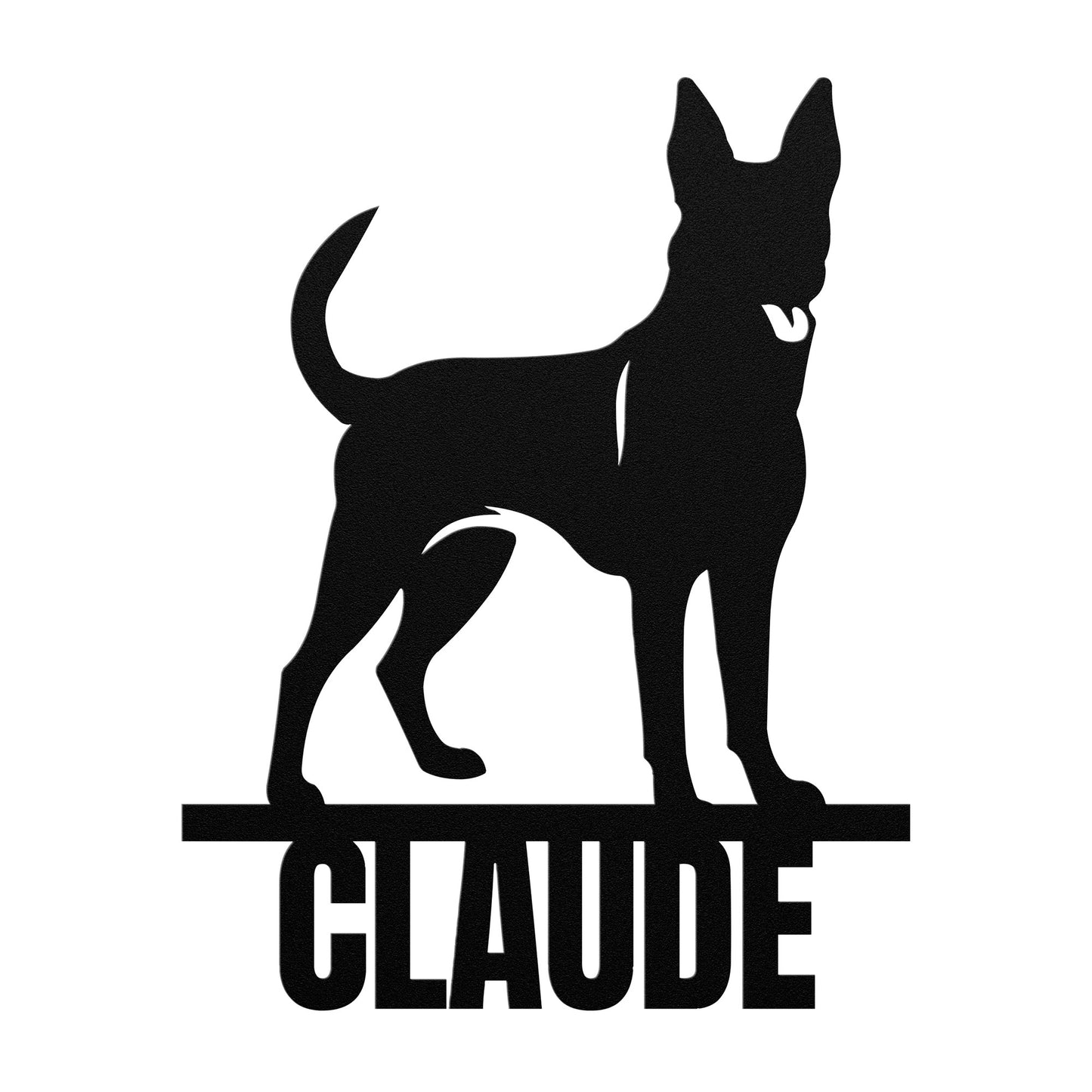 BELGIAN MALINOIS 2