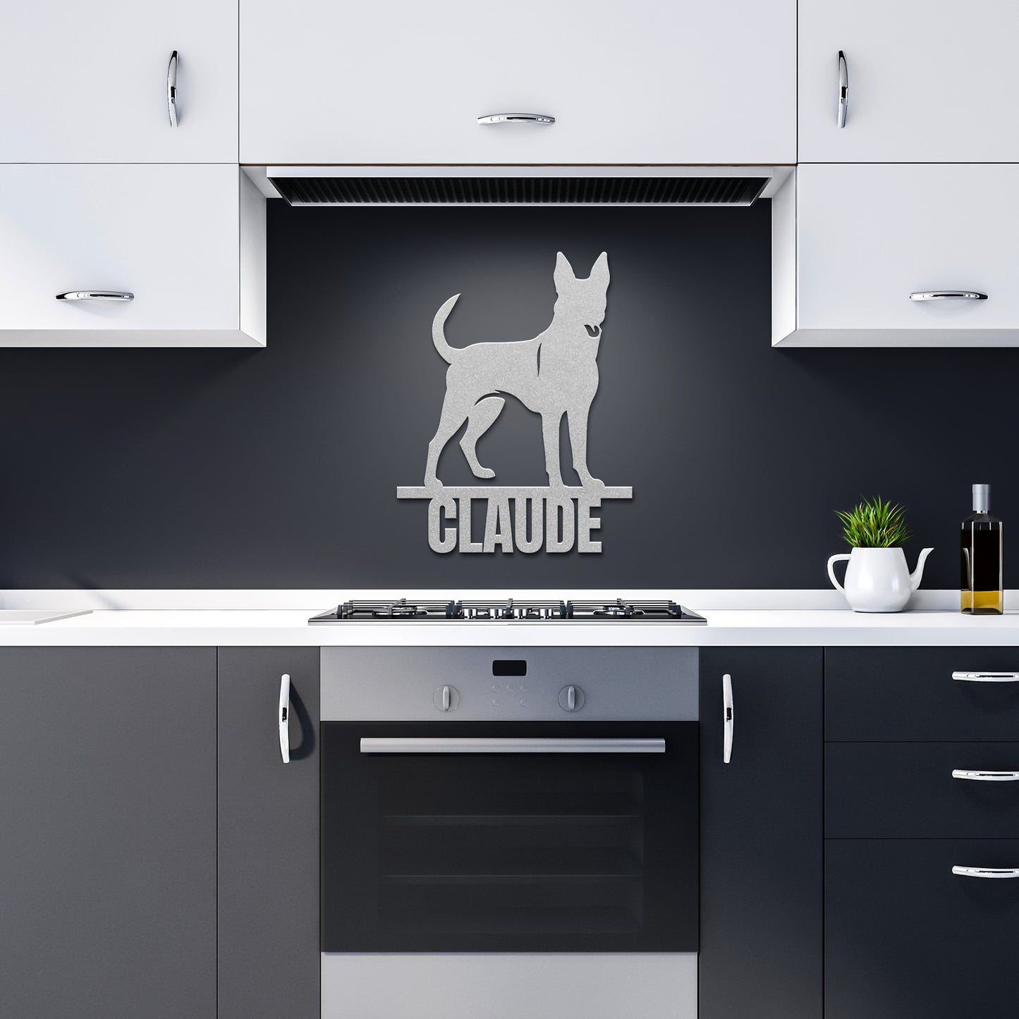 BELGIAN MALINOIS 2