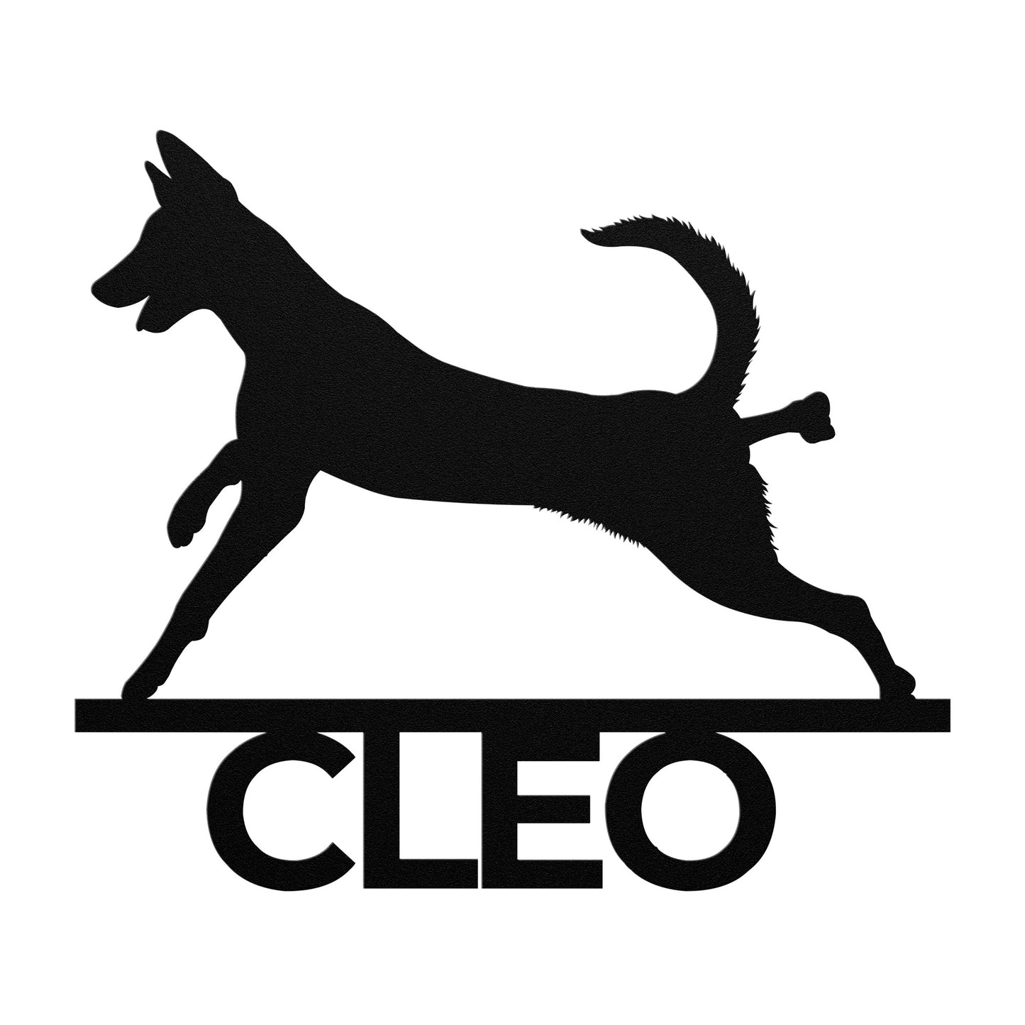 BELGIAN MALINOIS 3