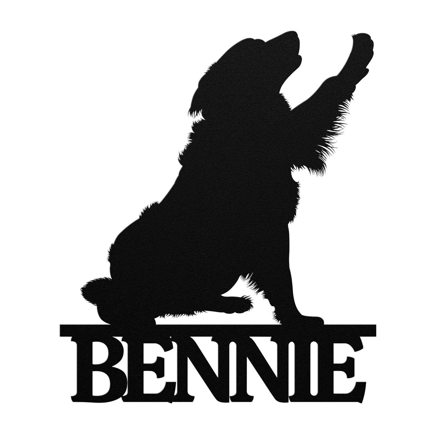 BERNESE MOUNTAIN DOG 2