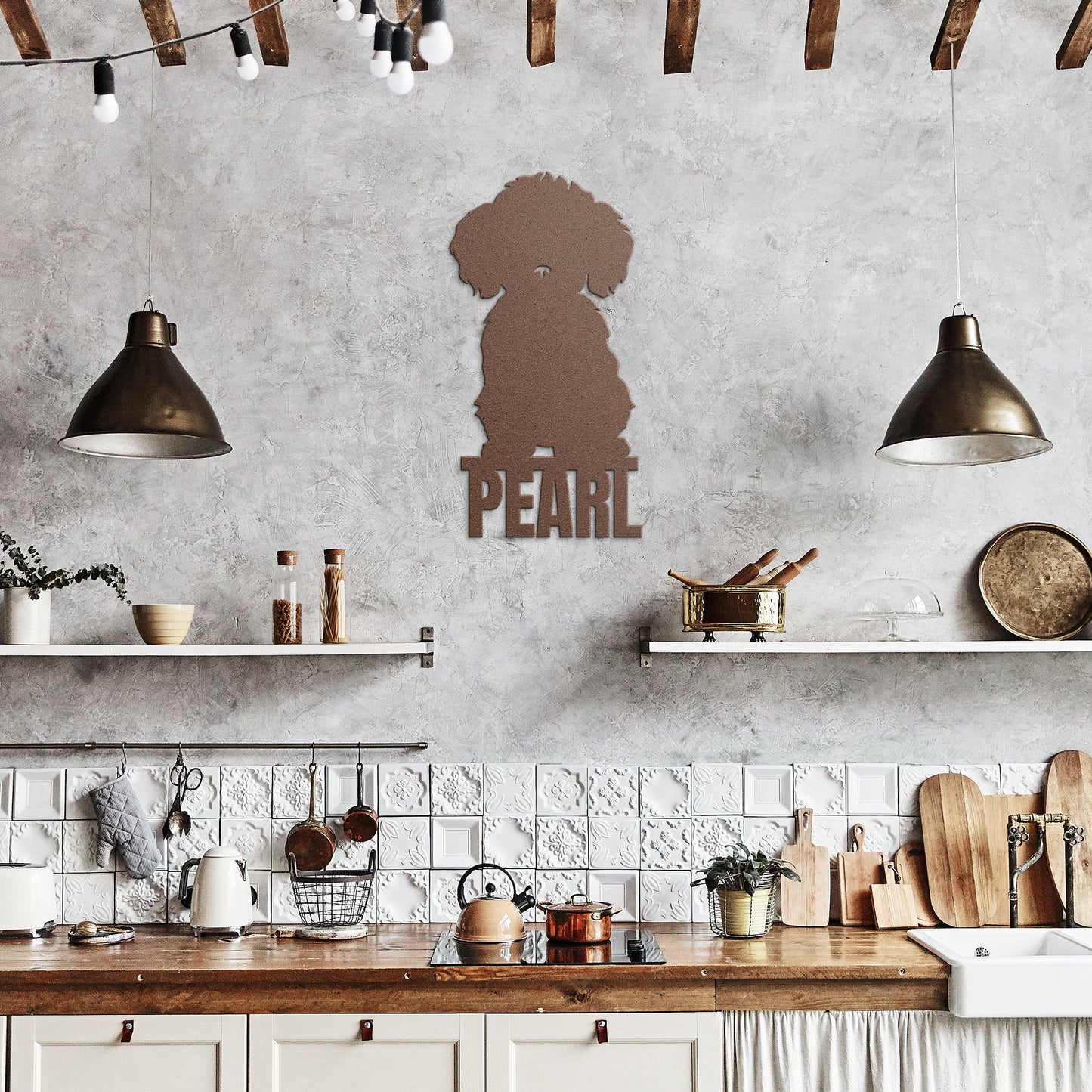 BICHON FRISÉ 2