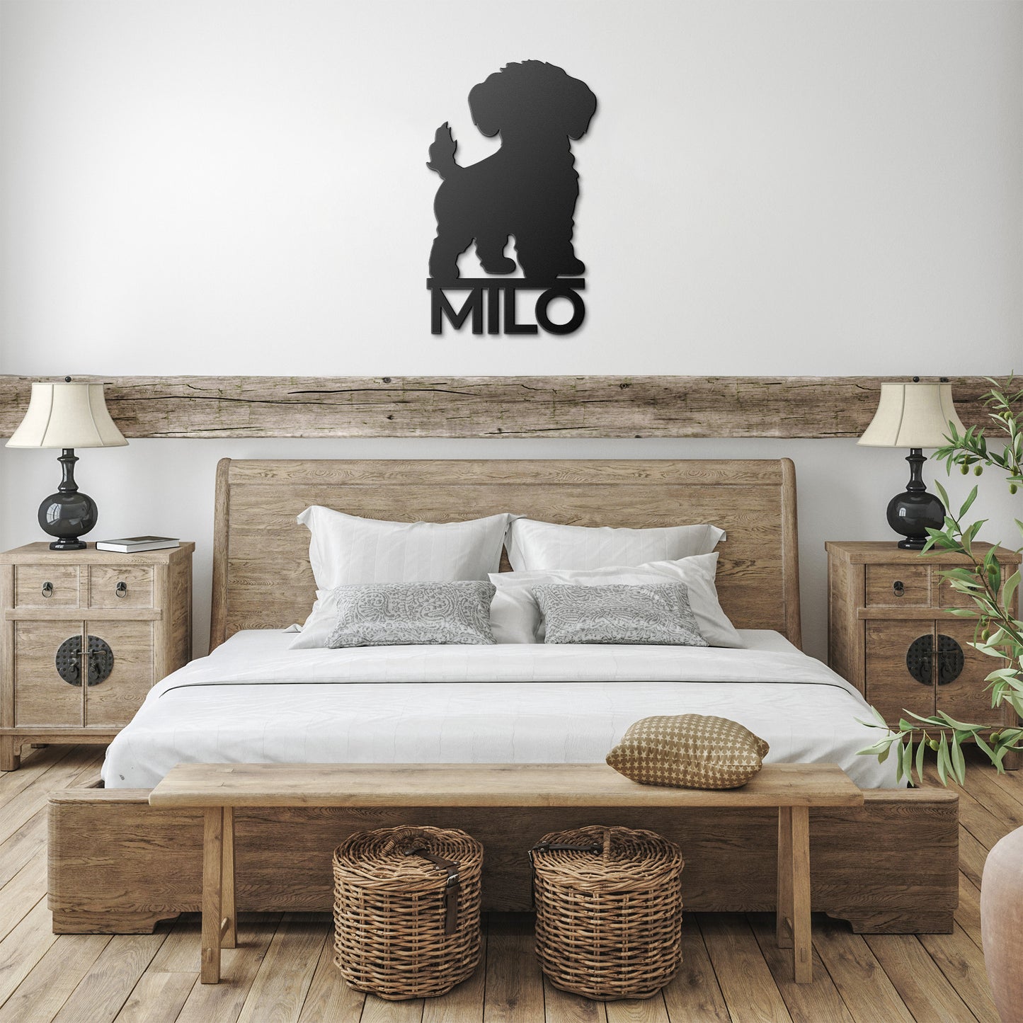 BICHON FRISÉ 3