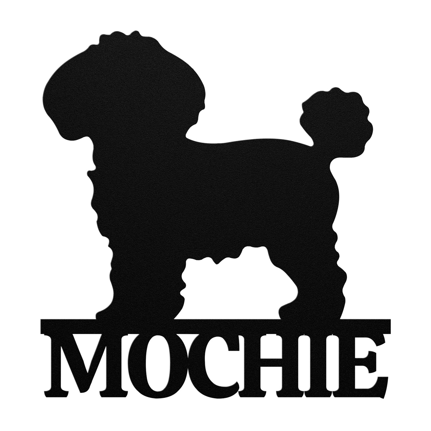 BICHON FRISÉ 1