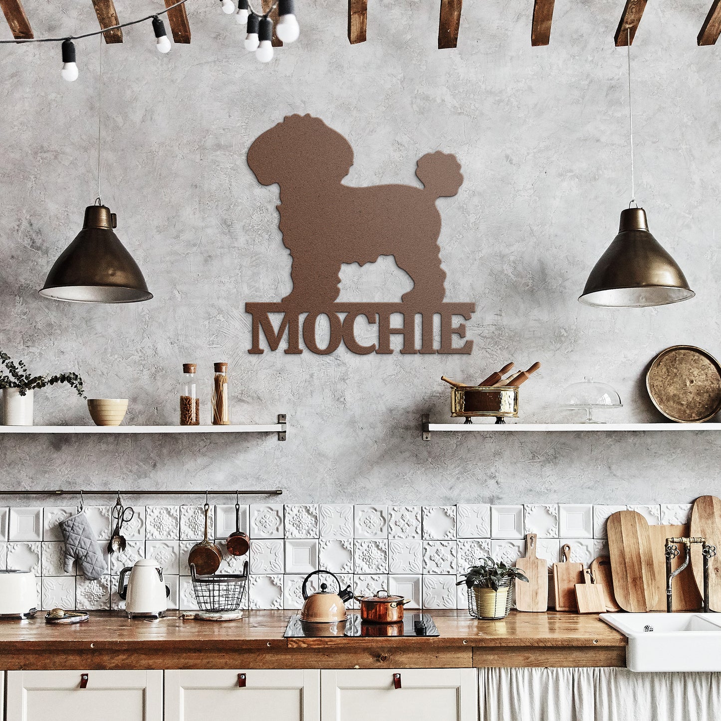 BICHON FRISÉ 1
