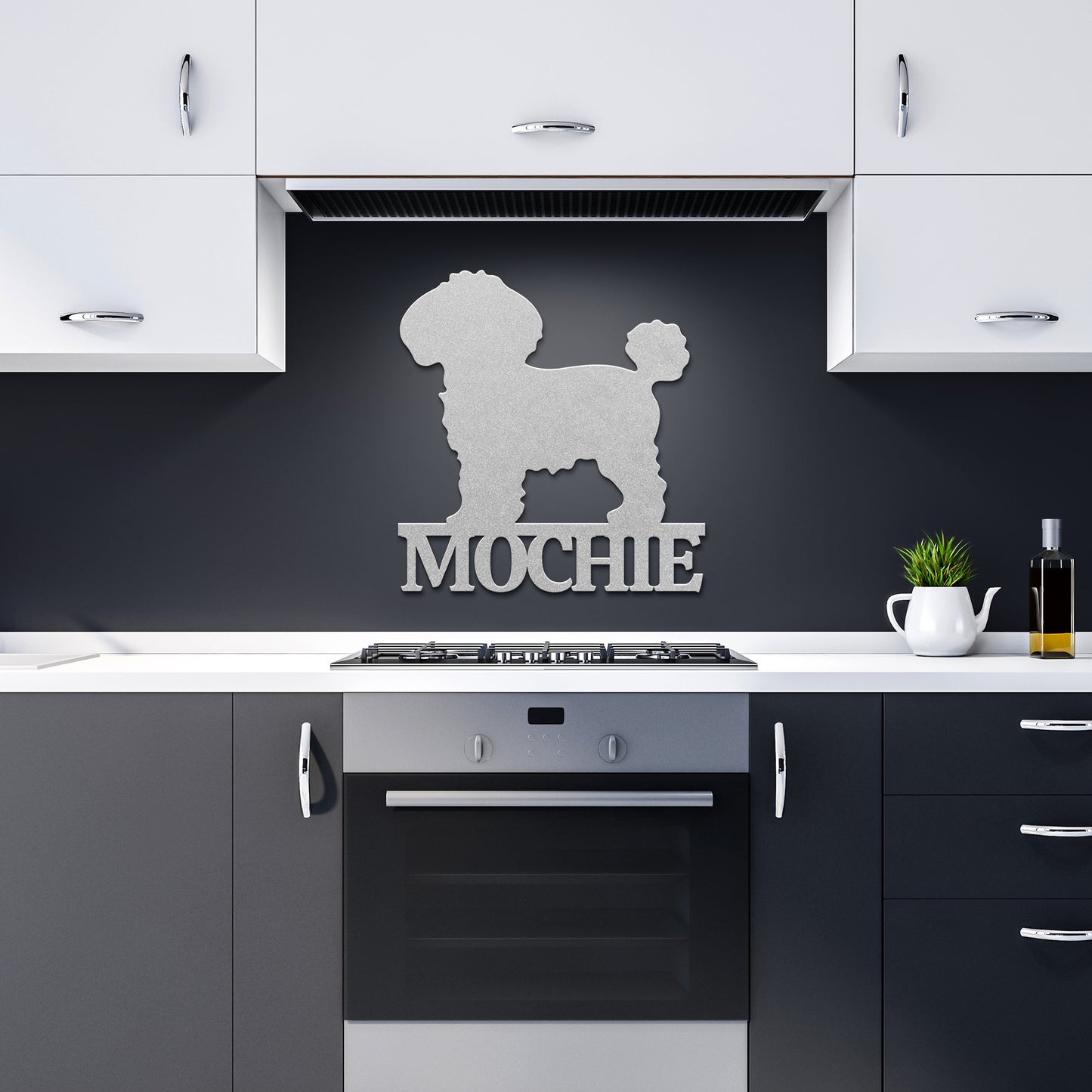 BICHON FRISÉ 1