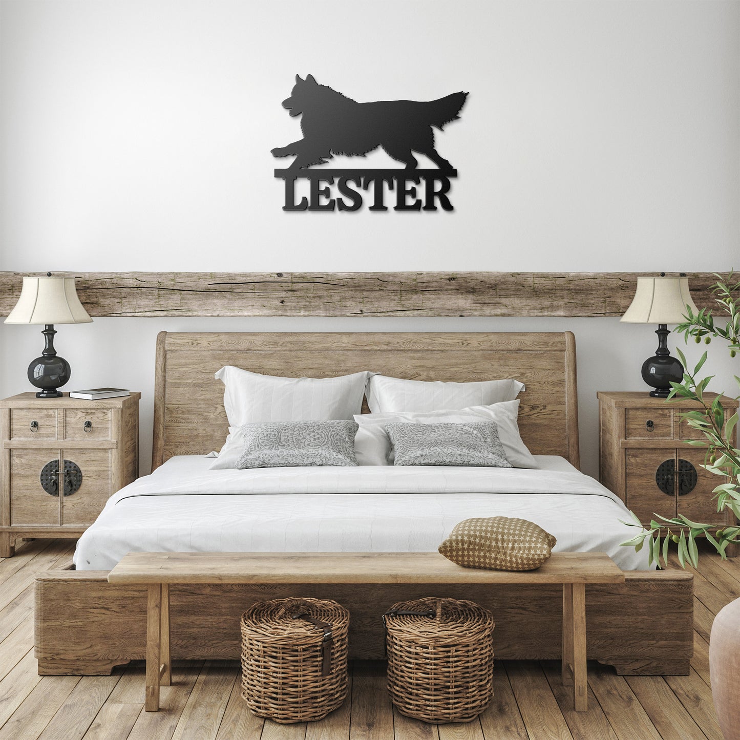 BORDER COLLIE 1