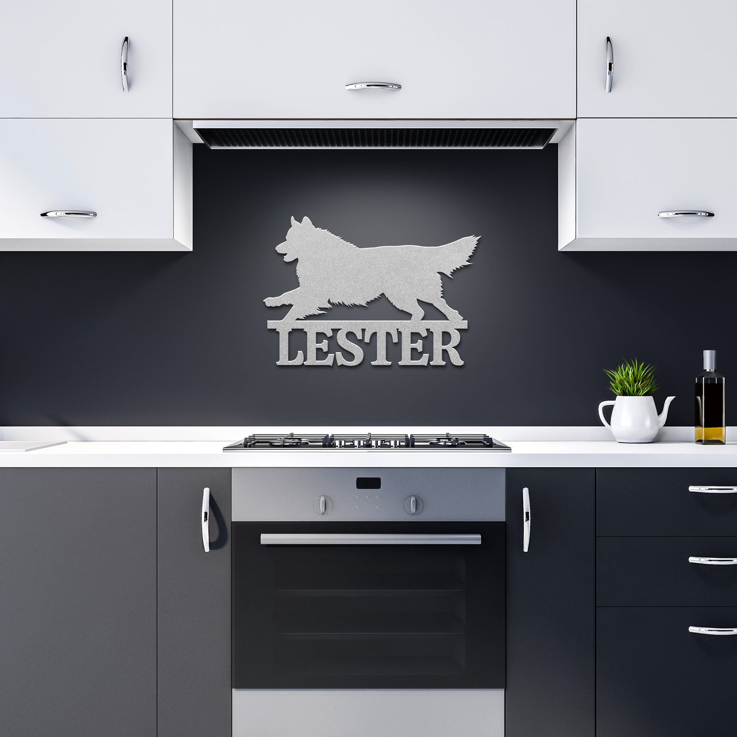 BORDER COLLIE 1