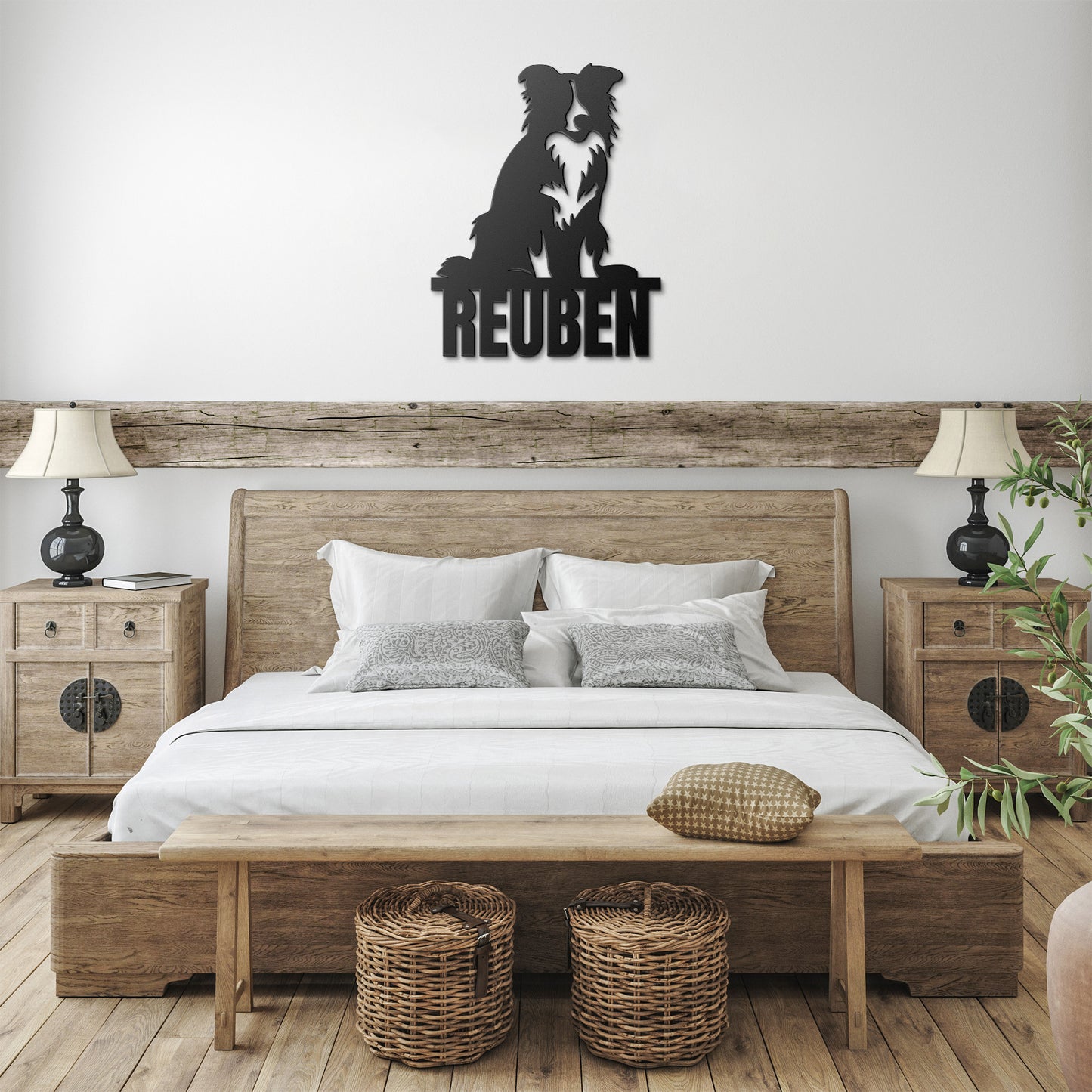 BORDER COLLIE 2