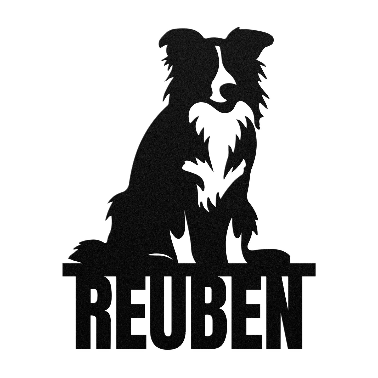 BORDER COLLIE 2