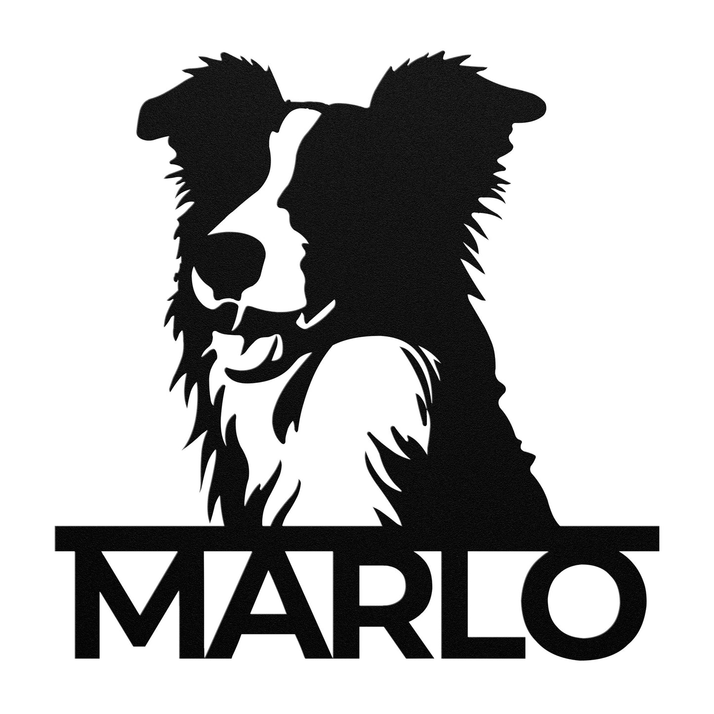 BORDER COLLIE 3