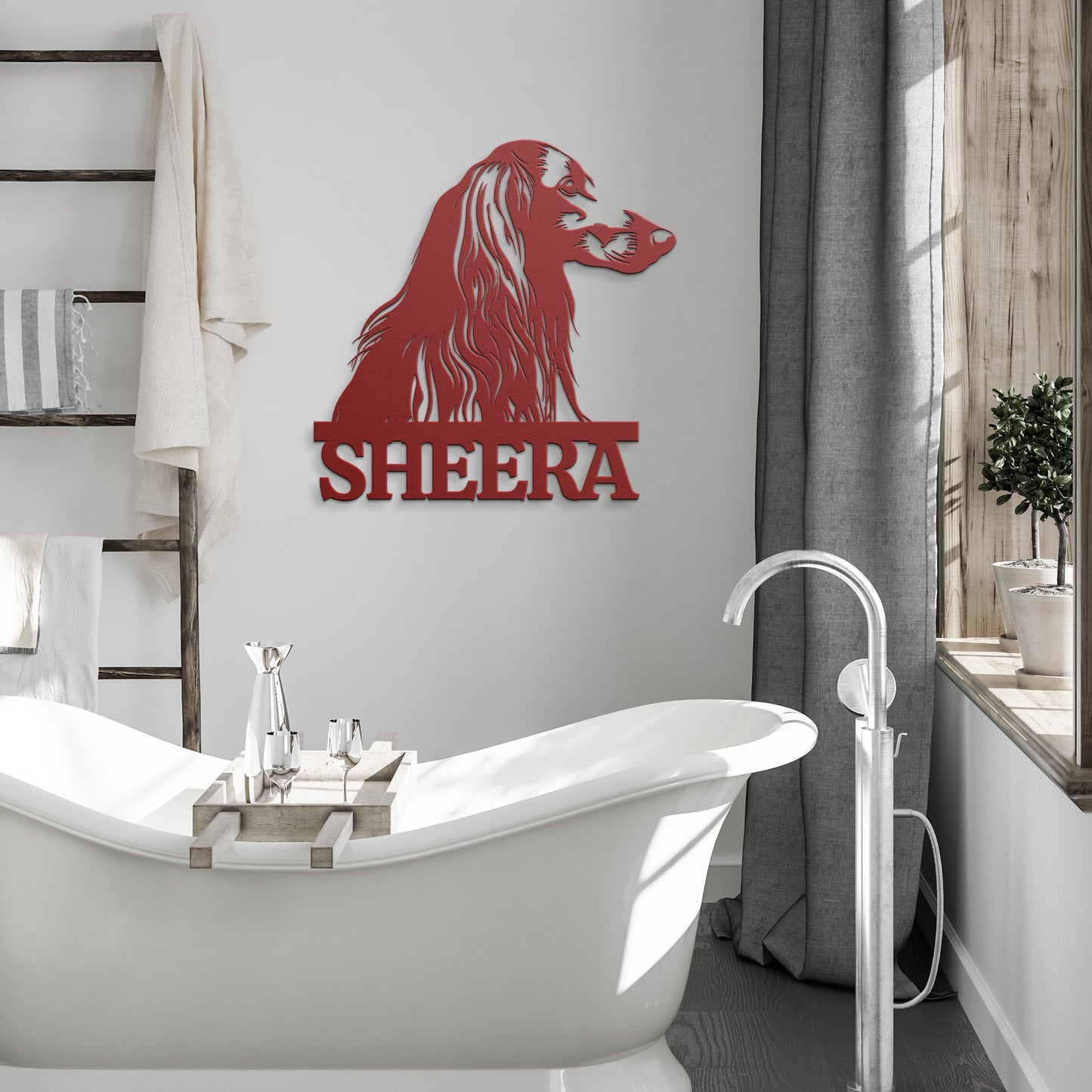 AFGHAN HOUND 2