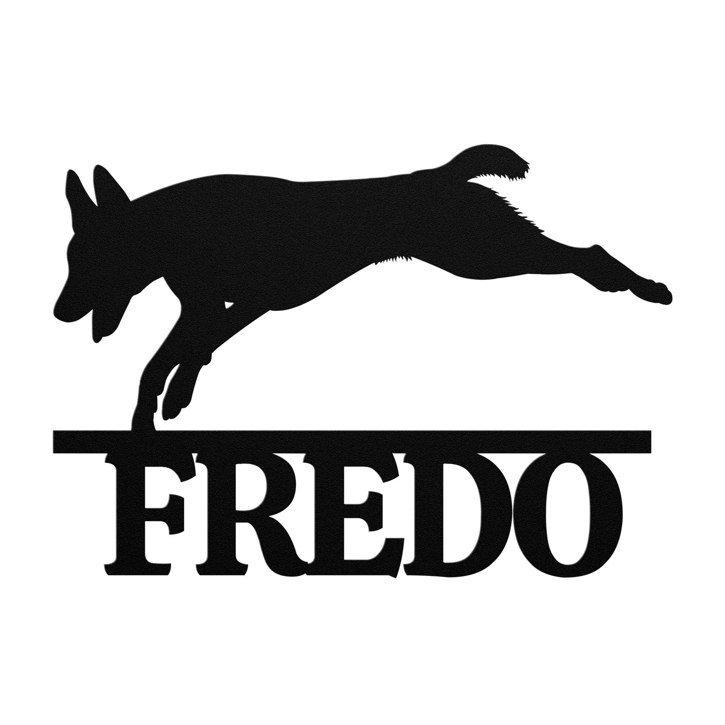 BELGIAN MALINOIS 1