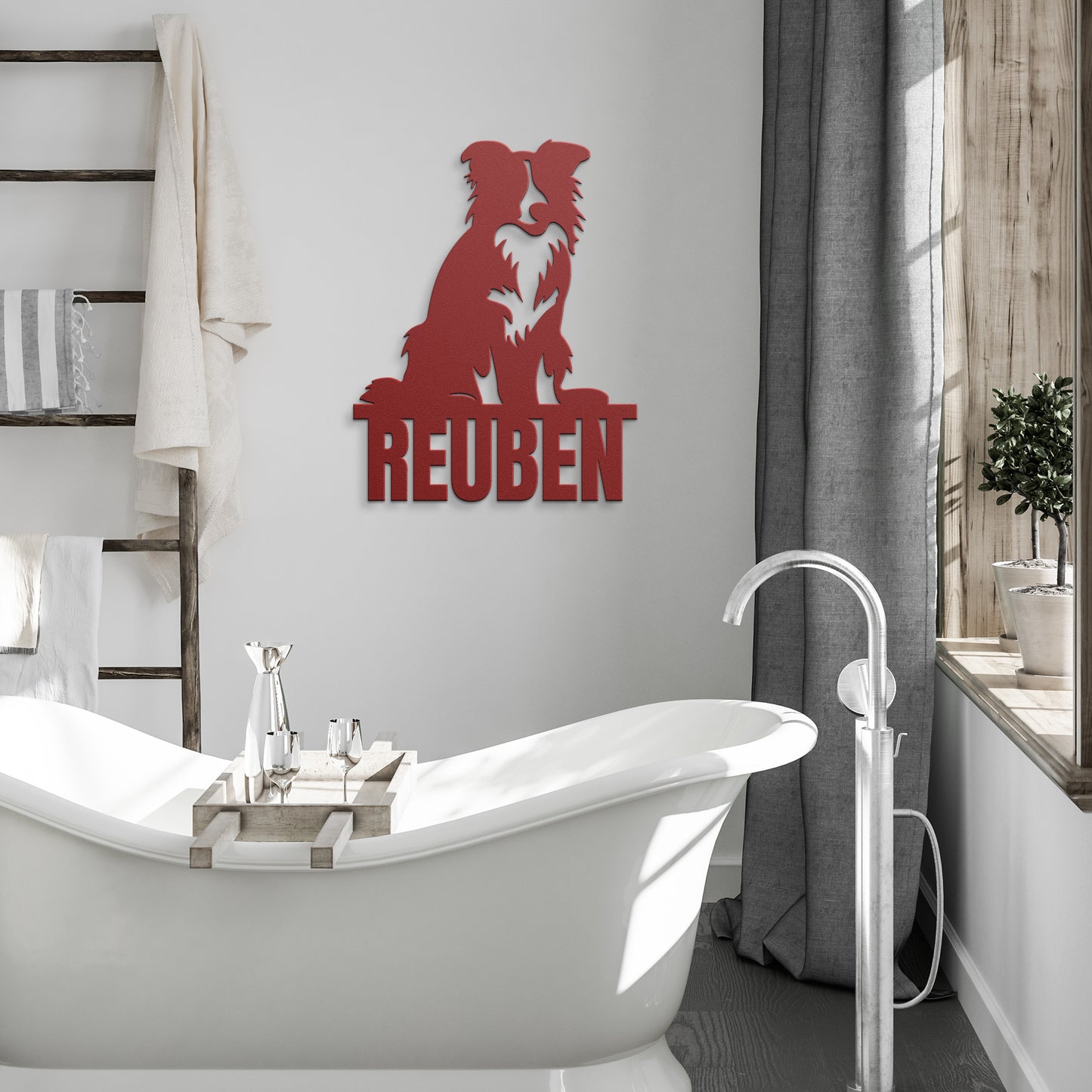 BORDER COLLIE 2