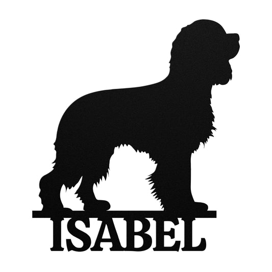 CAVALIER KING CHARLES SPANIEL 1