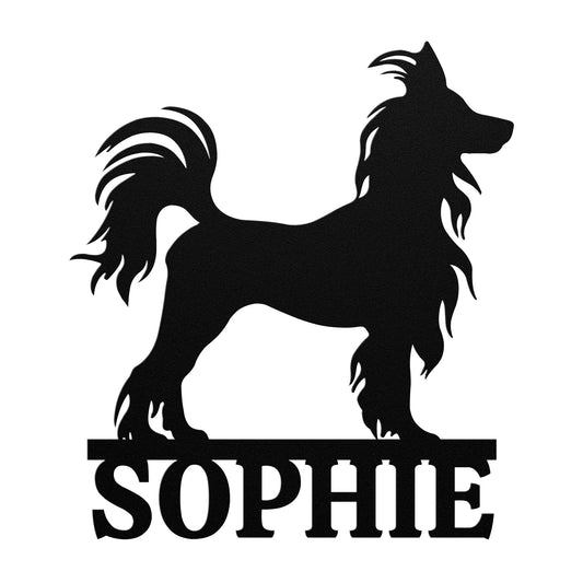 CHINESE CRESTED 2