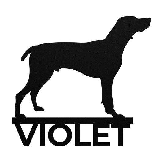 GERMAN SHORTHAIRED POINTER 3