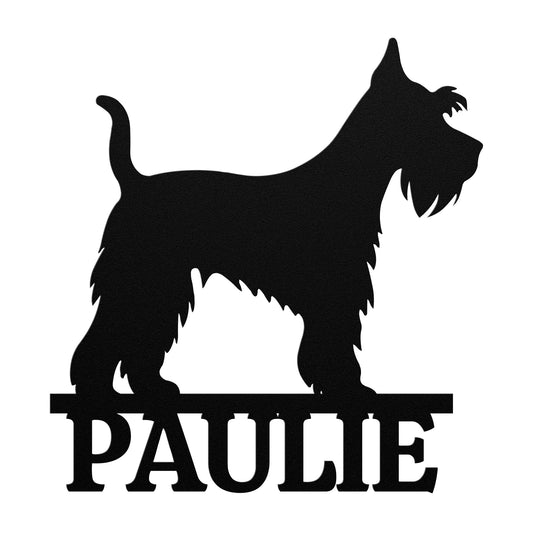 MINIATURE SCHNAUZER 1
