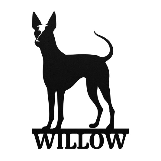 PHARAOH HOUND 1