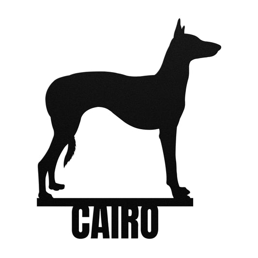 PHARAOH HOUND 2