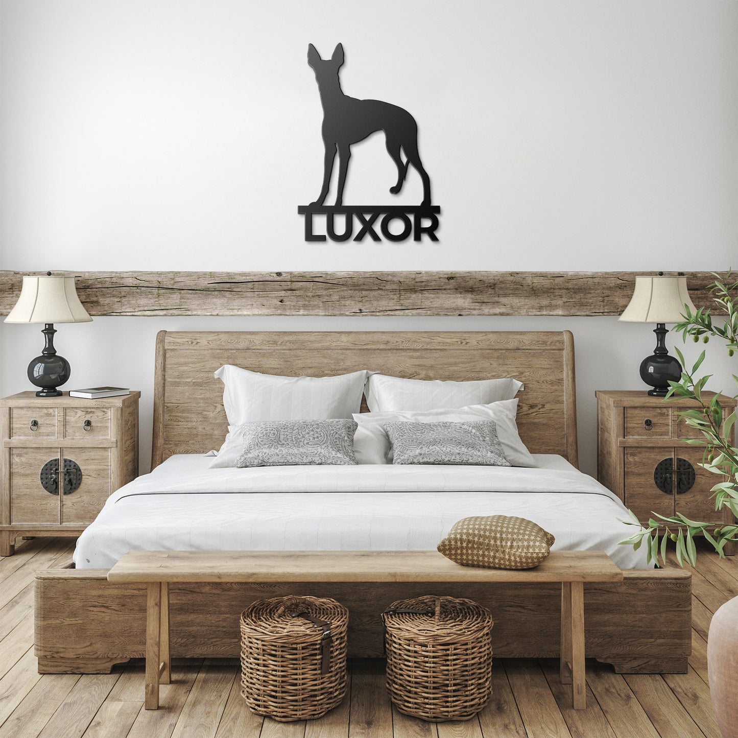 PHARAOH HOUND 3