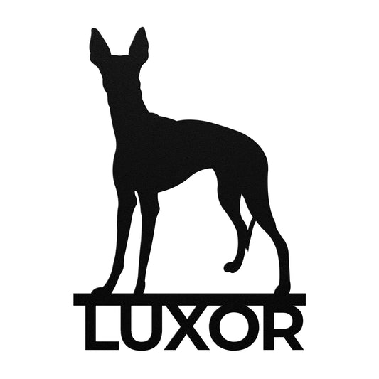 PHARAOH HOUND 3