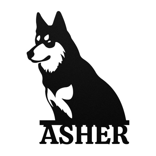 SIBERIAN HUSKY 1