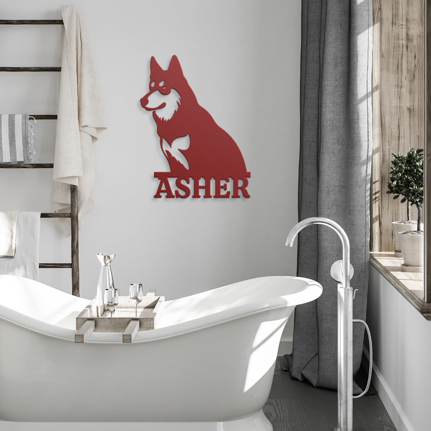 SIBERIAN HUSKY 1